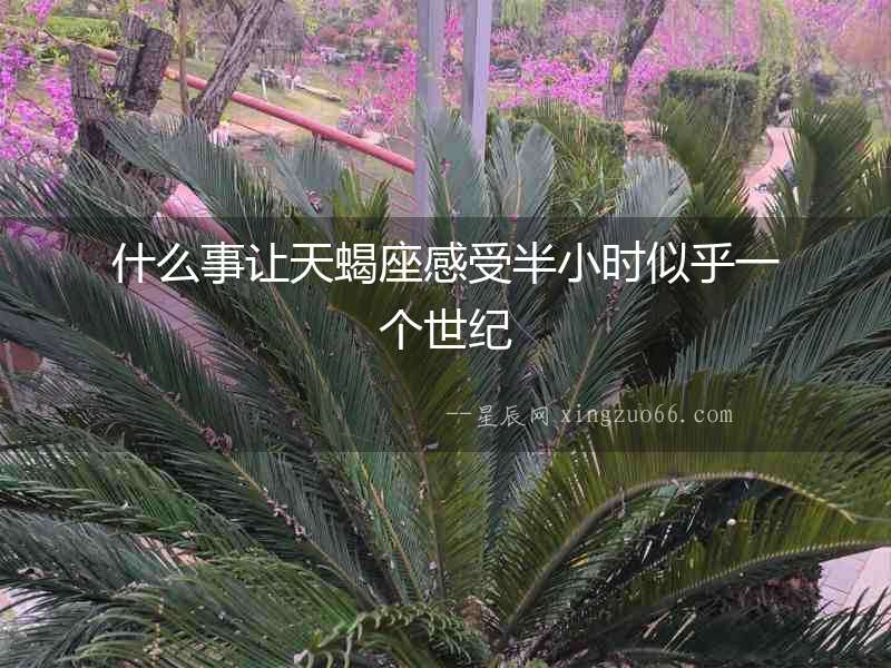什么事讓天蝎座感受半小時(shí)似乎一個(gè)世紀(jì)