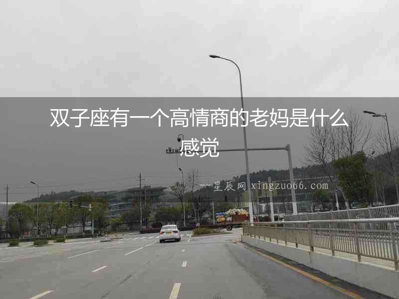 雙子座有一個高情商的老媽是什么感覺