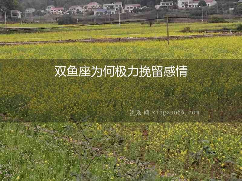 雙魚座為何極力挽留感情