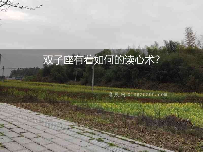 雙子座有著如何的讀心術？