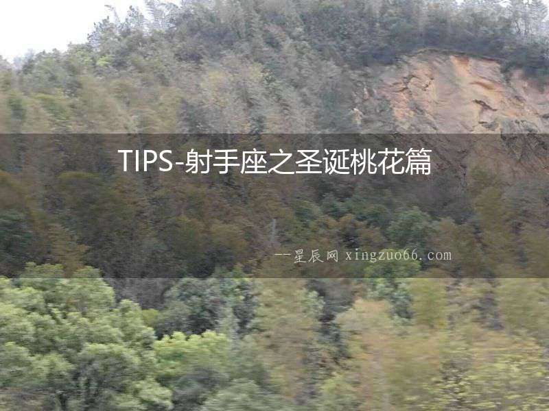 TIPS-射手座之圣誕桃花篇