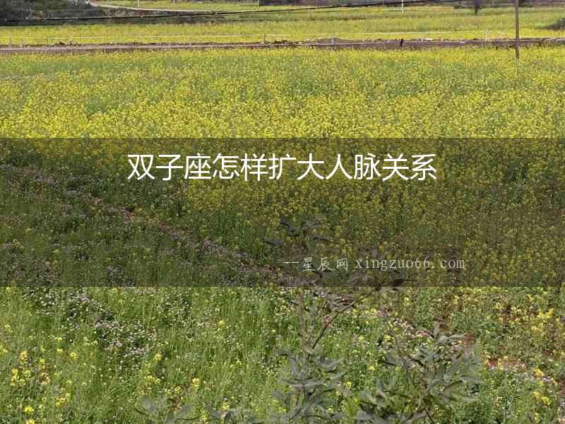 雙子座怎樣擴大人脈關系