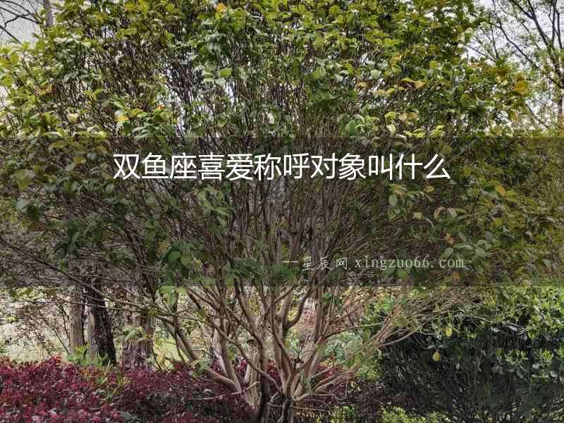雙魚座喜愛稱呼對象叫什么