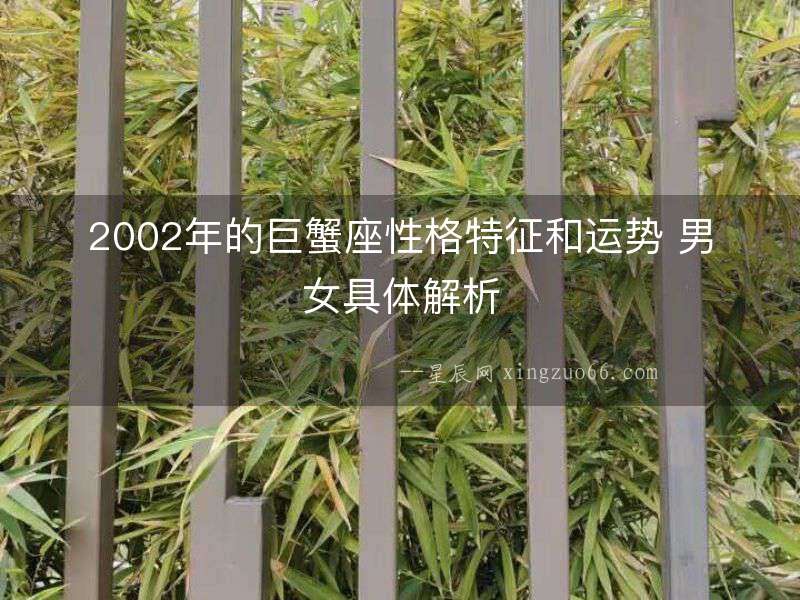 2002年的巨蟹座性格特征和運勢 男女具體解析
