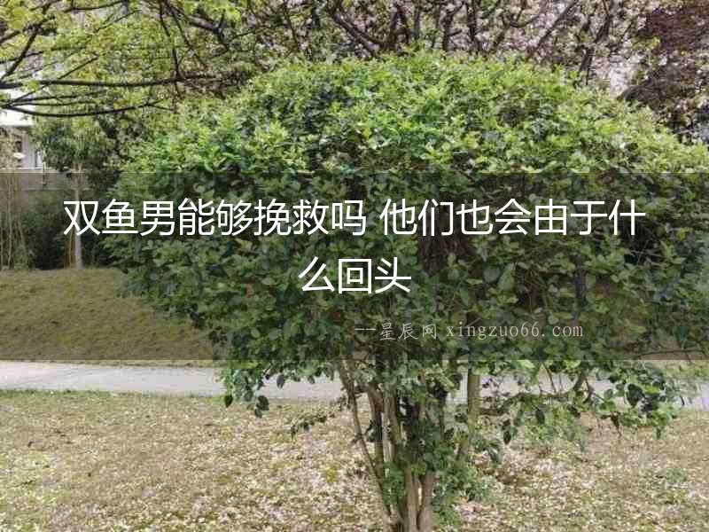 雙魚男能夠挽救嗎 他們也會(huì)由于什么回頭