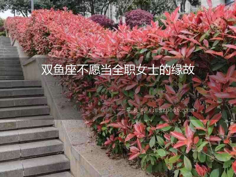 雙魚座不愿當(dāng)全職女士的緣故