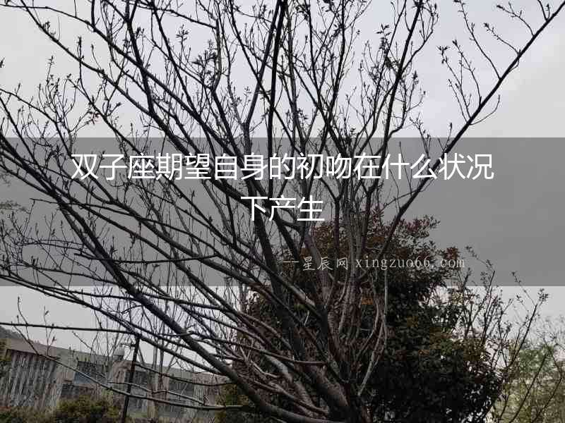 雙子座期望自身的初吻在什么狀況下產生