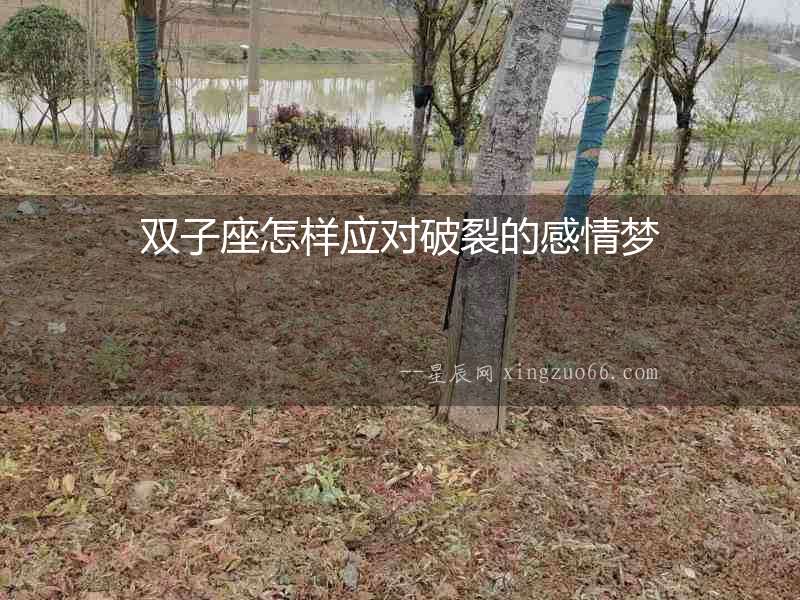 雙子座怎樣應對破裂的感情夢