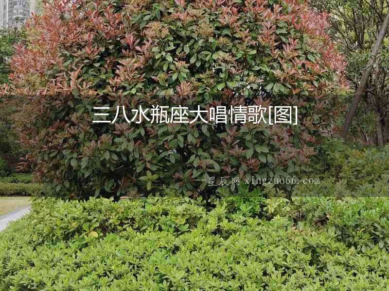 三八水瓶座大唱情歌[圖]