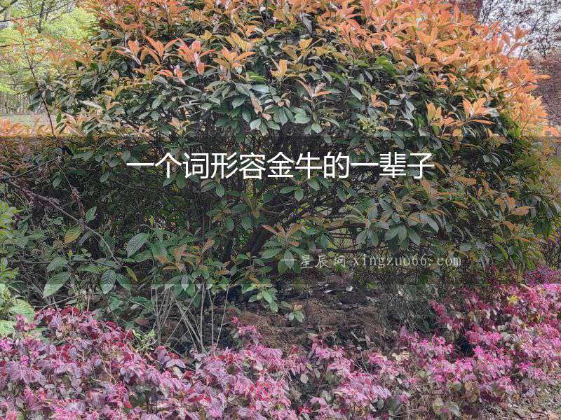 一個詞形容金牛的一輩子