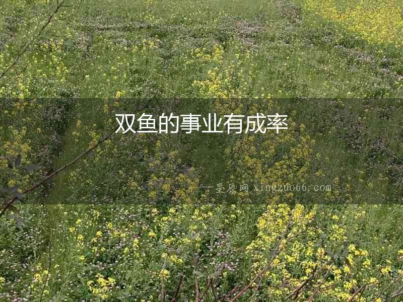 雙魚的事業有成率