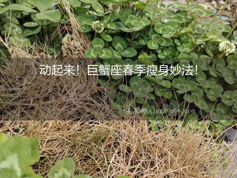 動起來！巨蟹座春季瘦身妙法！