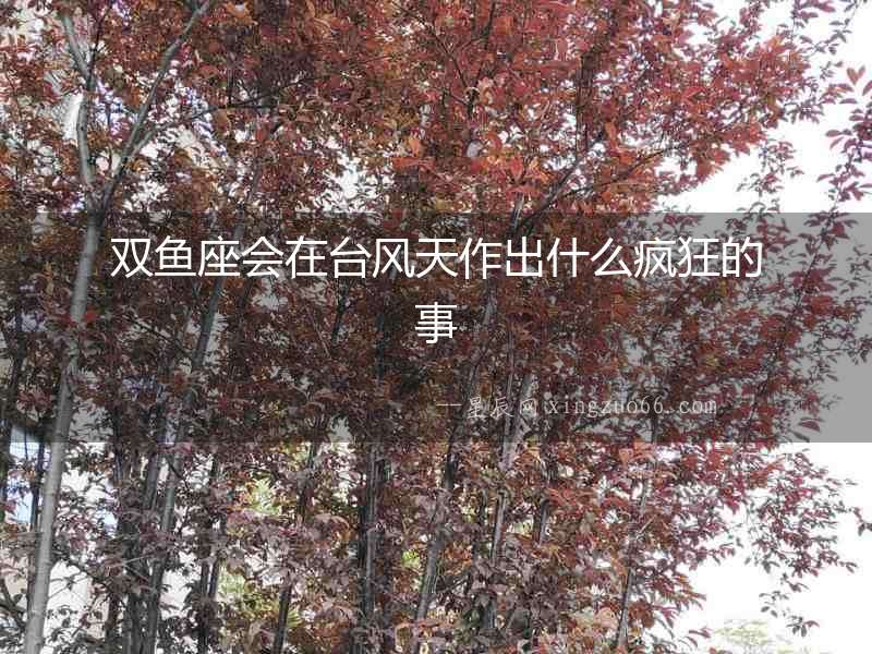 雙魚座會在臺風天作出什么瘋狂的事