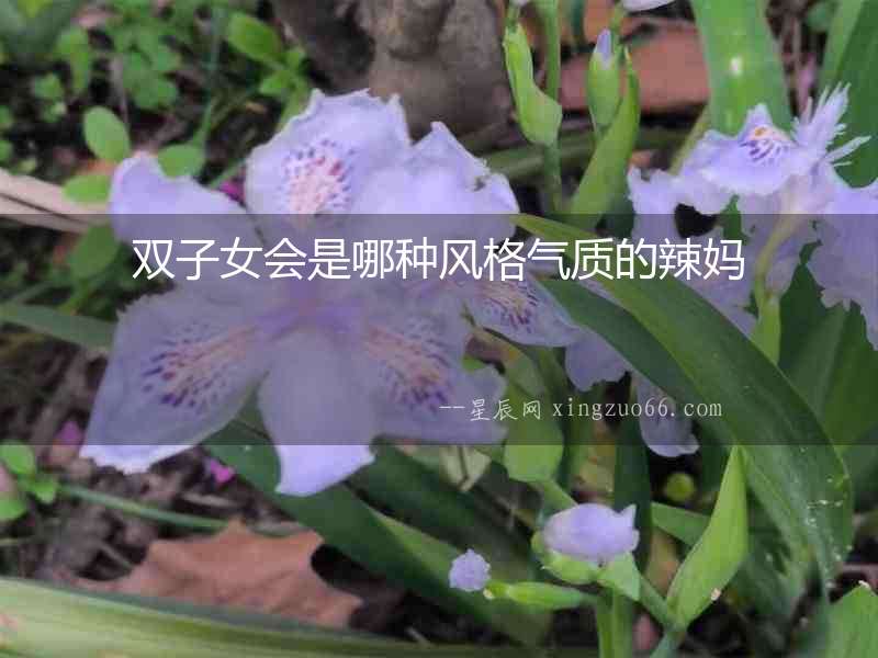 雙子女會是哪種風格氣質的辣媽
