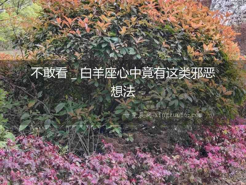 不敢看＿白羊座心中竟有這類邪惡想法