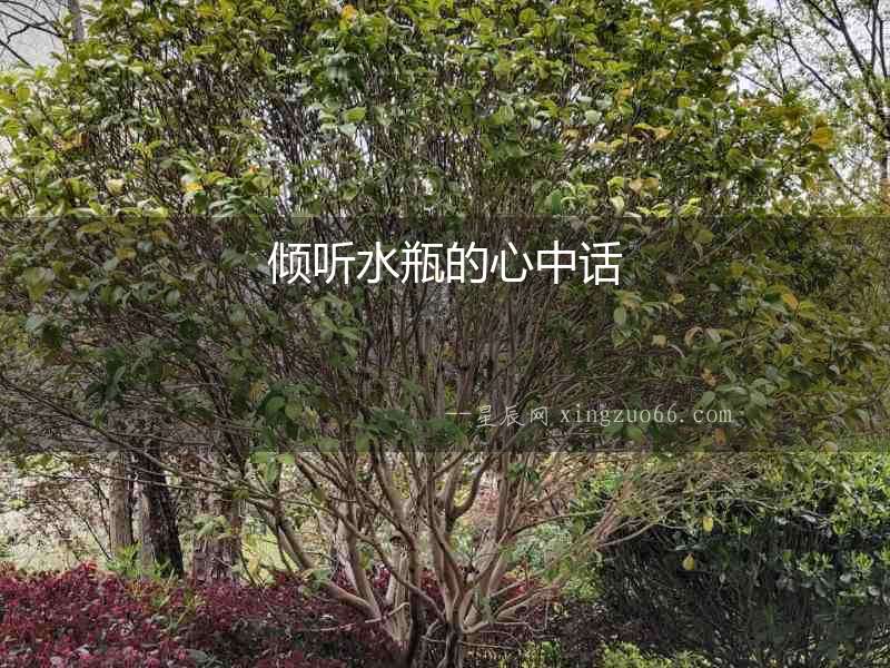傾聽水瓶的心中話