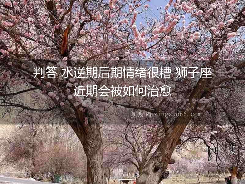 判答 水逆期后期情緒很糟 獅子座近期會被如何治愈
