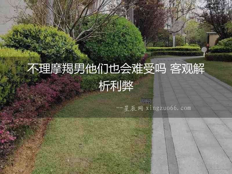 不理摩羯男他們也會難受嗎 客觀解析利弊