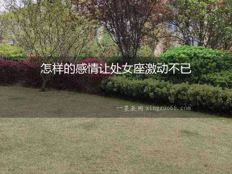 怎樣的感情讓處女座激動不已
