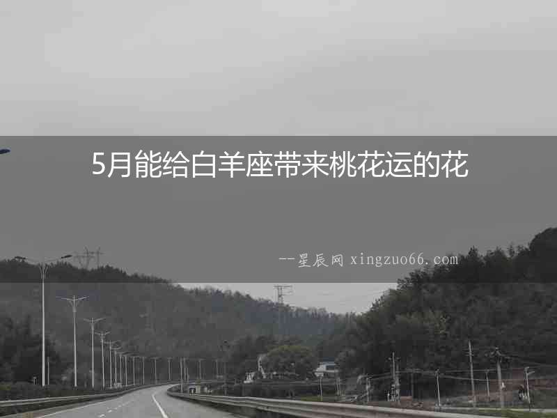 5月能給白羊座帶來桃花運(yùn)的花
