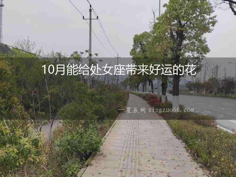 10月能給處女座帶來好運的花