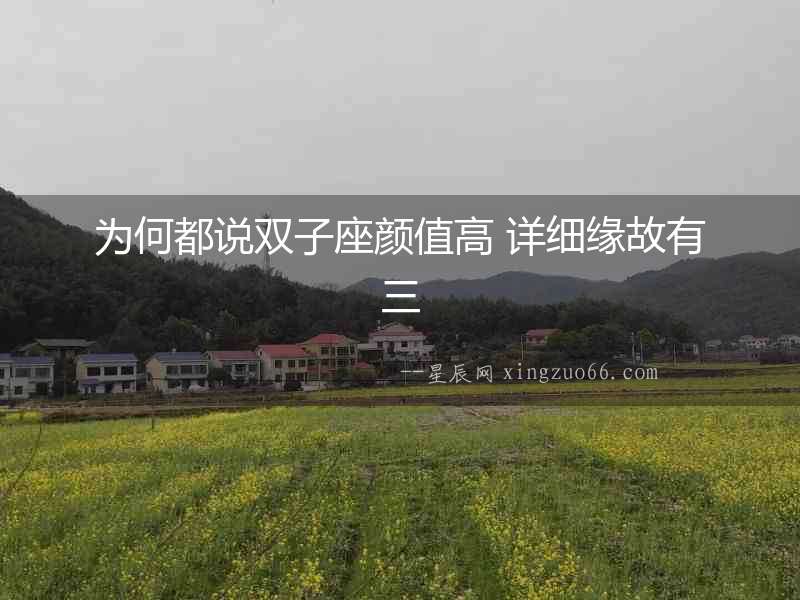 為何都說雙子座顏值高 詳細緣故有三