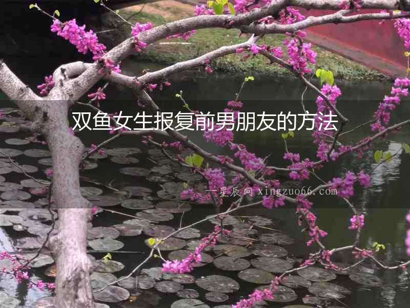 雙魚女生報(bào)復(fù)前男朋友的方法