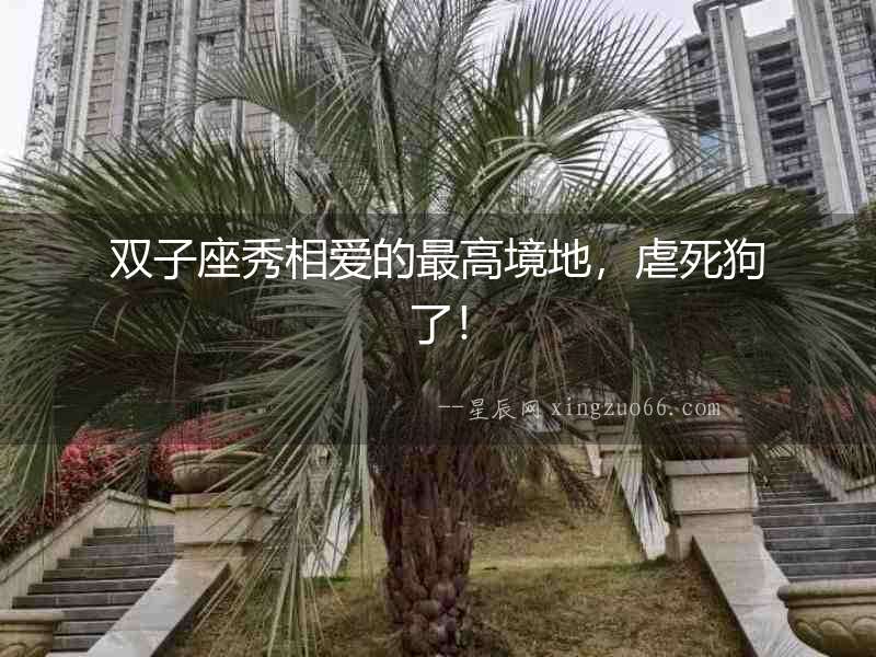 雙子座秀相愛的最高境地，虐死狗了！