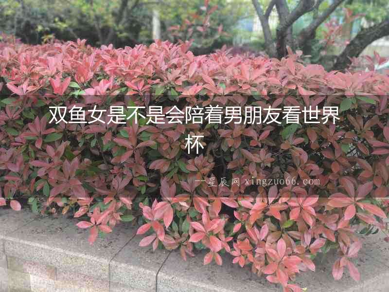 雙魚女是不是會(huì)陪著男朋友看世界杯