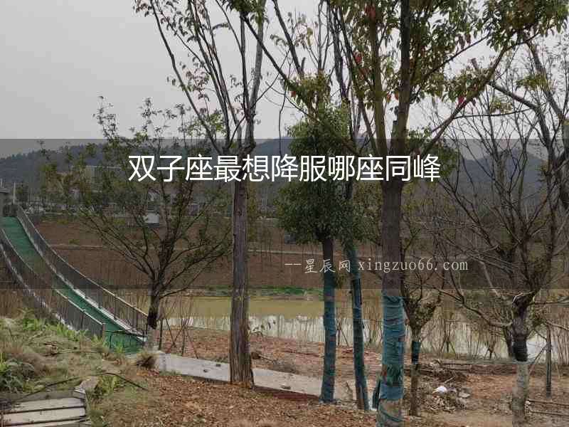 雙子座最想降服哪座同峰