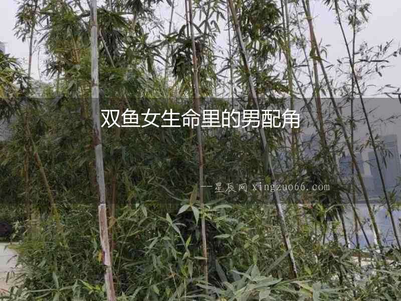 雙魚女生命里的男配角