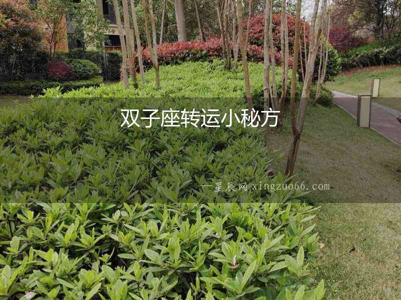 雙子座轉(zhuǎn)運小秘方