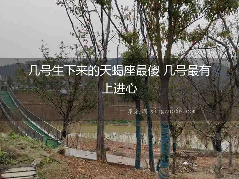 幾號(hào)生下來的天蝎座最傻 幾號(hào)最有上進(jìn)心