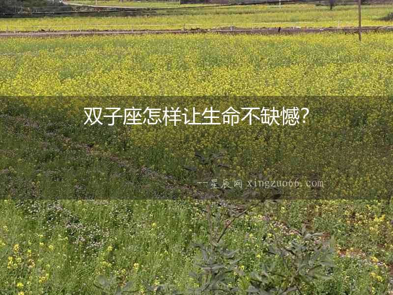 雙子座怎樣讓生命不缺憾？