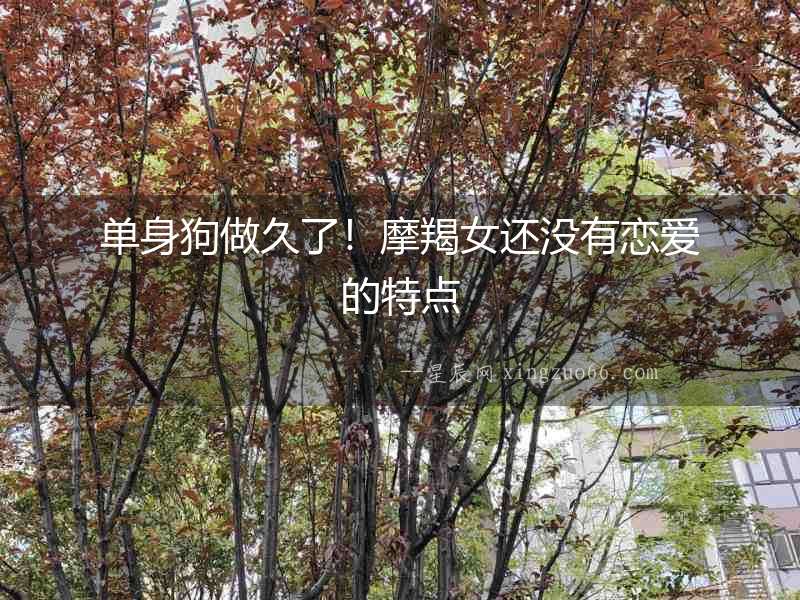 單身狗做久了！摩羯女還沒有戀愛的特點(diǎn)