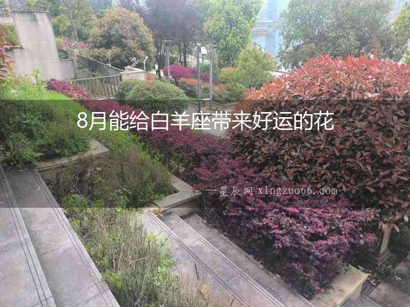 8月能給白羊座帶來(lái)好運(yùn)的花