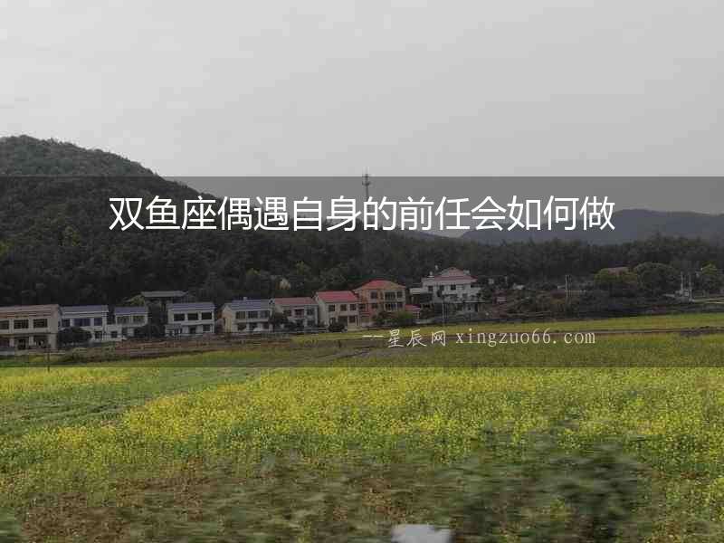 雙魚座偶遇自身的前任會如何做
