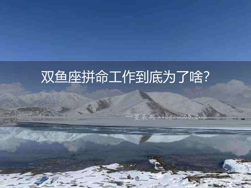 雙魚座拼命工作到底為了啥？