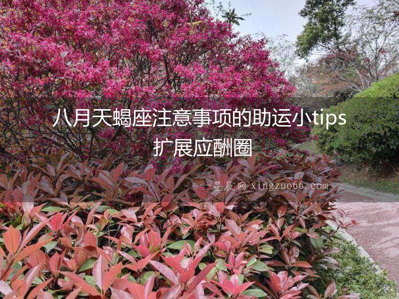 八月天蝎座注意事項的助運小tips 擴展應(yīng)酬圈