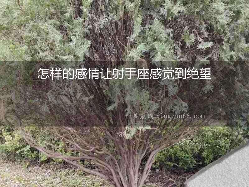 怎樣的感情讓射手座感覺到絕望