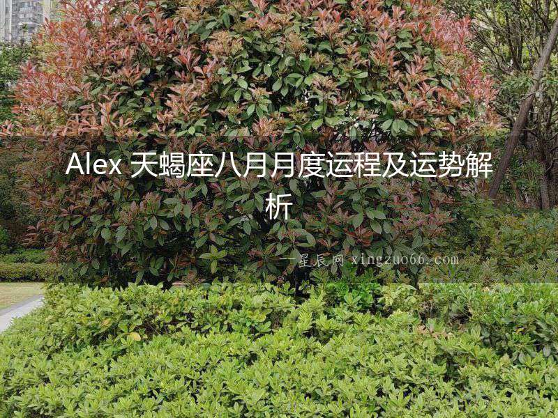 Alex 天蝎座八月月度運程及運勢解析