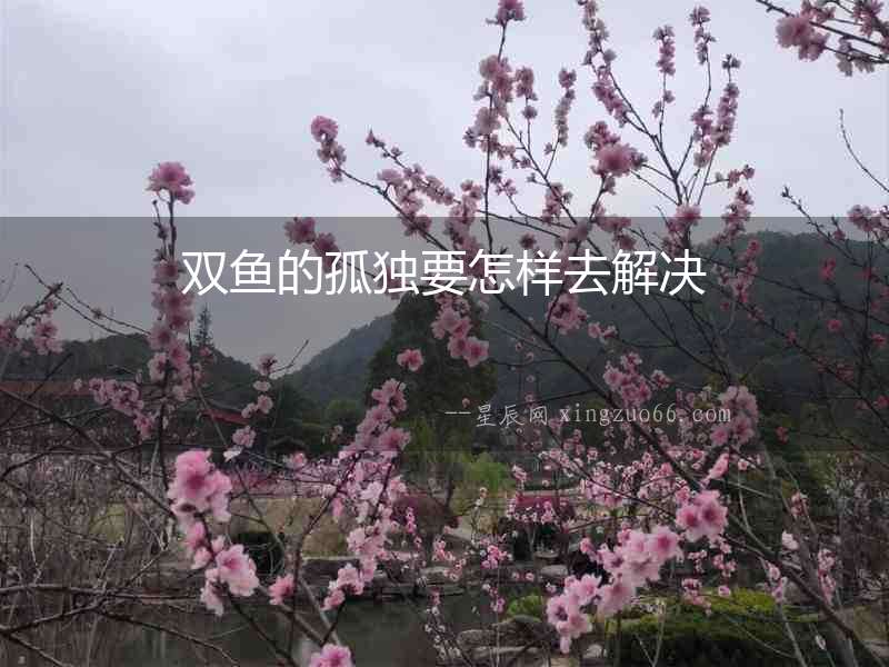 雙魚的孤獨要怎樣去解決