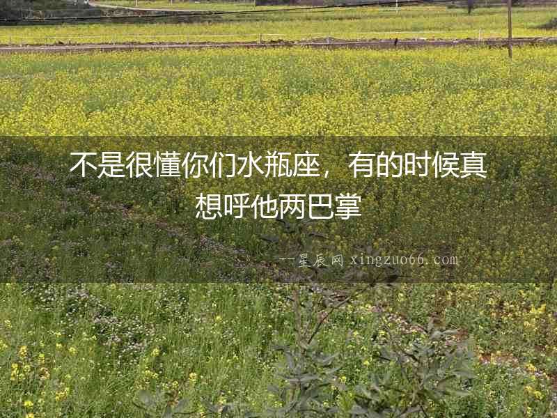 不是很懂你們水瓶座，有的時候真想呼他兩巴掌