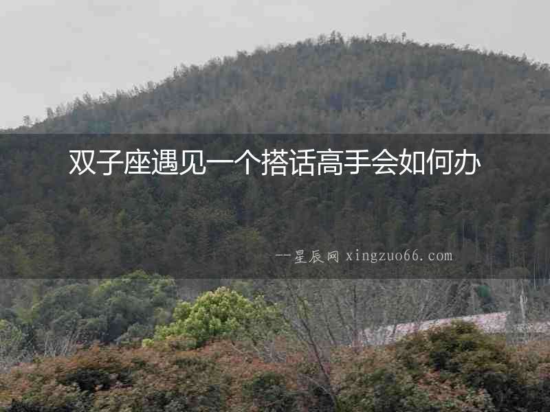 雙子座遇見一個搭話高手會如何辦