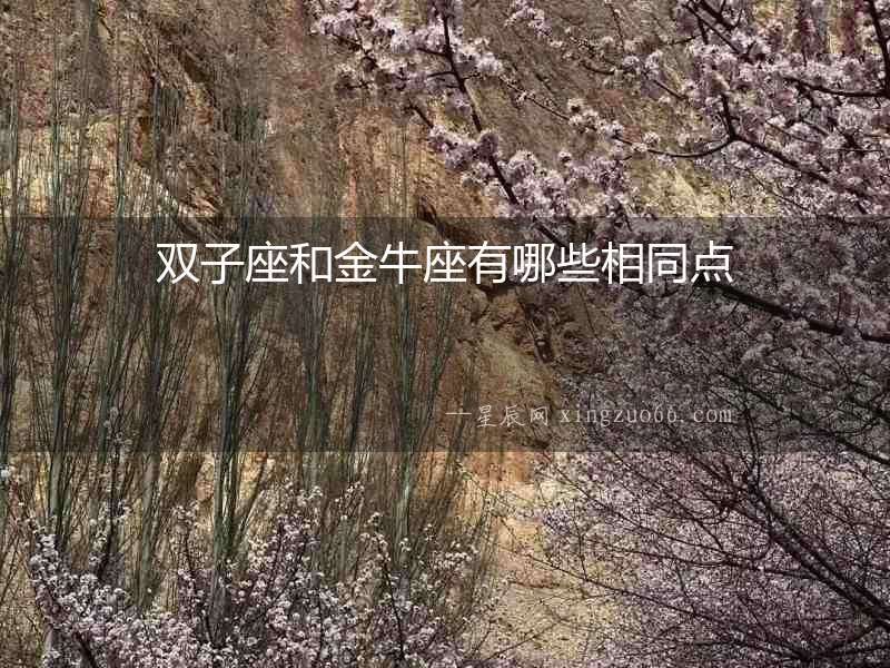 雙子座和金牛座有哪些相同點