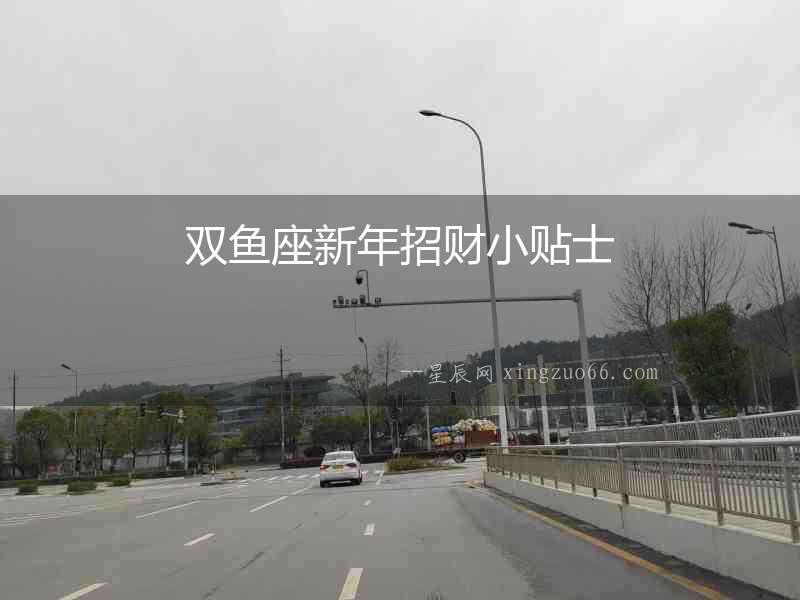 雙魚(yú)座新年招財(cái)小貼士