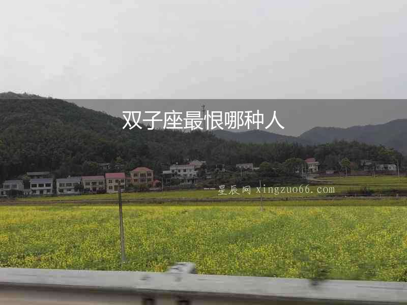 雙子座最恨哪種人