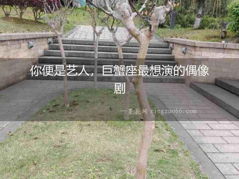 你便是藝人，巨蟹座最想演的偶像劇