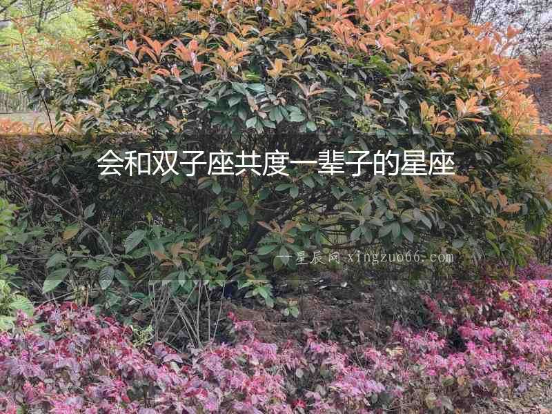 會(huì)和雙子座共度一輩子的星座