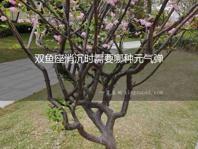 雙魚座消沉時需要哪種元氣彈
